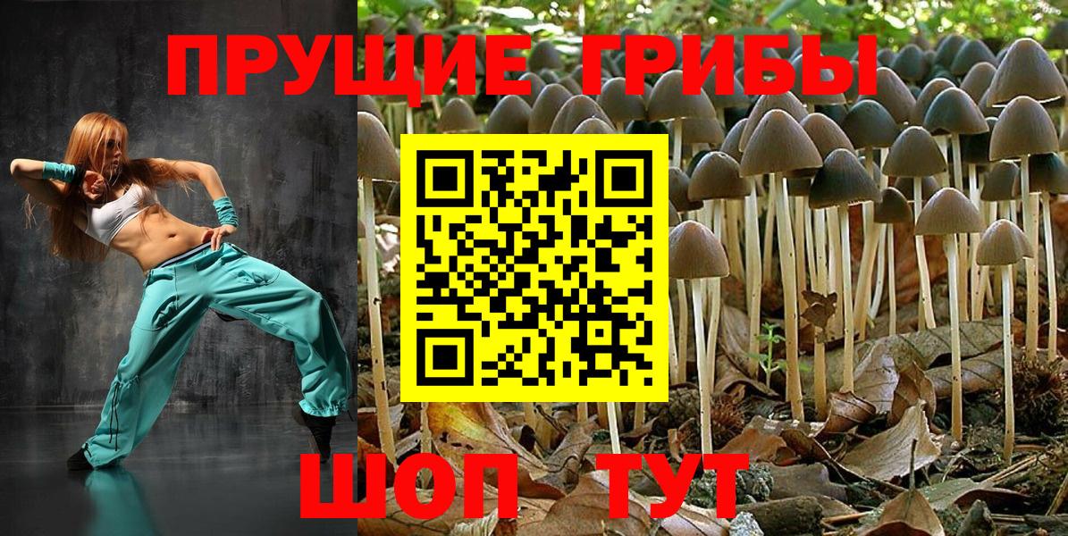 Галлюциногенные грибы MAGIC MUSHROOMS Белорецк